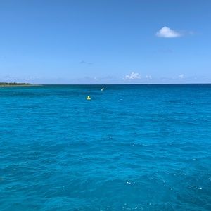 Meet your Posher, Adriana